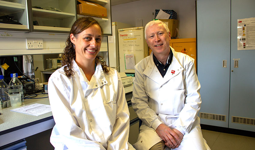 CBR researchers develop low-cost tests for people with bleeding and clotting disorders