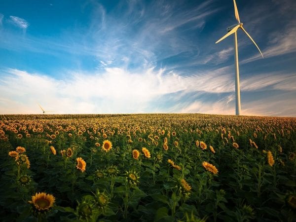 Integrating sustainable development into economics curriculum