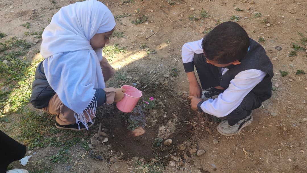 Flowing Up: empowering youth and protecting heritage in Taiz, Yemen