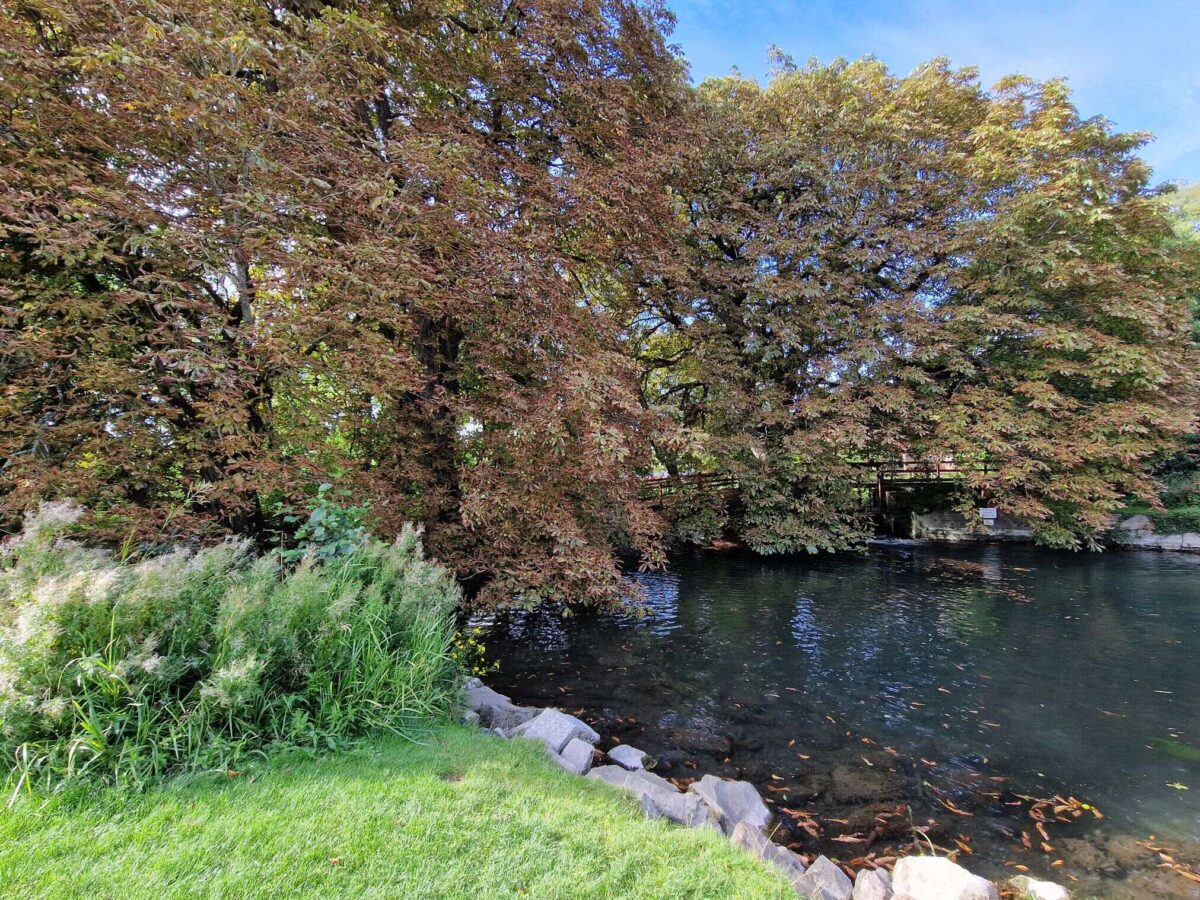 Water’s of Change: Marlborough’s Journey Towards Resilience: The End Is a New Beginning