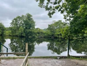 A calm river with lush green trees reflecting on its surface under a cloudy sky, viewed from a fenced riverbank with wooden railings and a small pathway