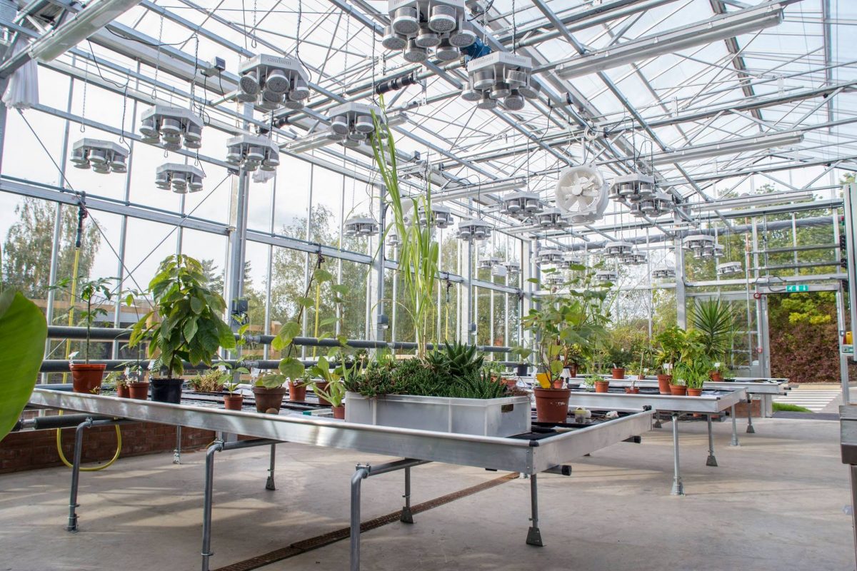Plants grown from seeds that orbited earth to go on show at national event