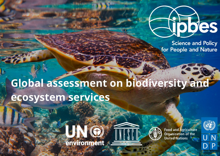 UWE Bristol Professor contributes to United Nations report on Biodiversity and Ecosystem Services