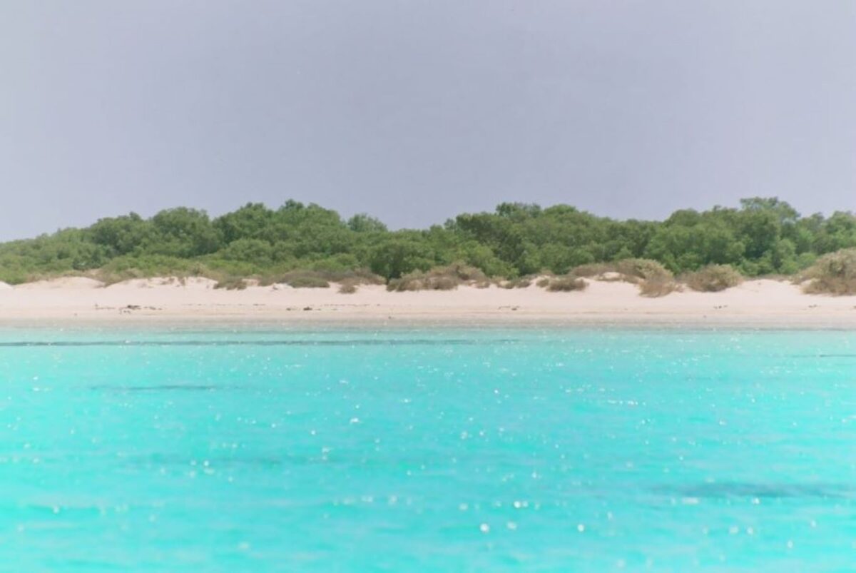 Ecotourism in the Egyptian Red Sea Parks: Challenges & Solutions